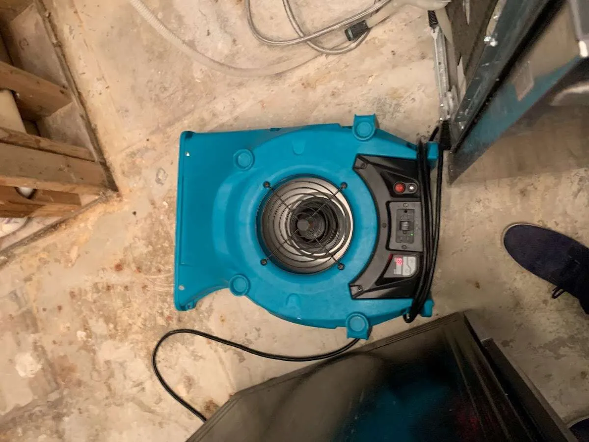 Air mover drying equipment for Mold Remediation & Removal in Los Ranchos de Albuquerque