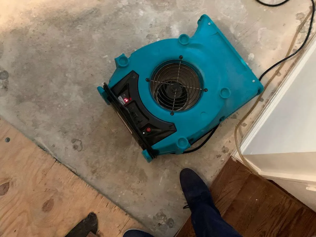 Air mover drying subfloor during Leak Detection & Repair in Los Ranchos de Albuquerque